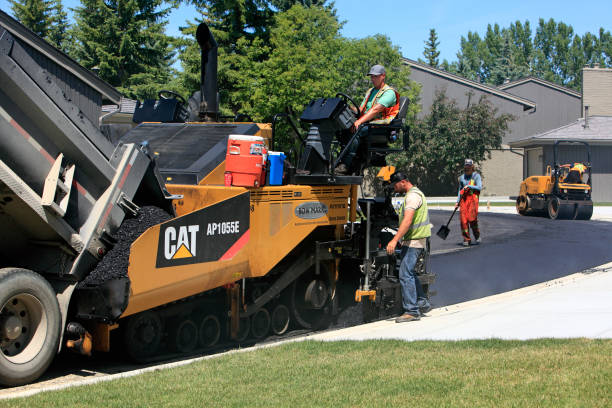 Best Decorative Driveway Pavers  in Avenue B And C, AZ